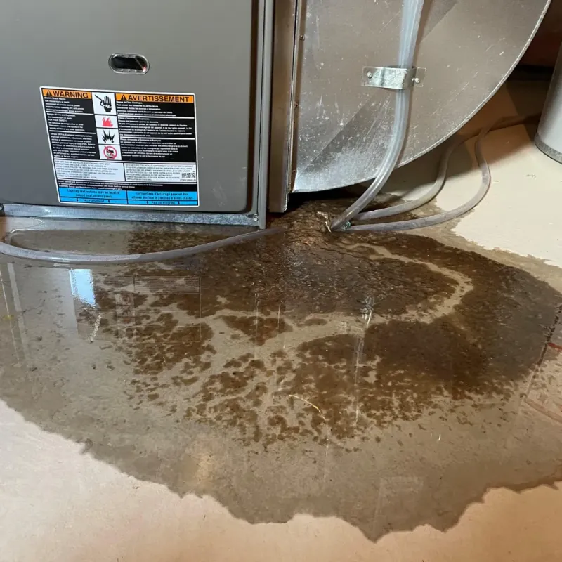Appliance Leak Cleanup in Virginia, IL