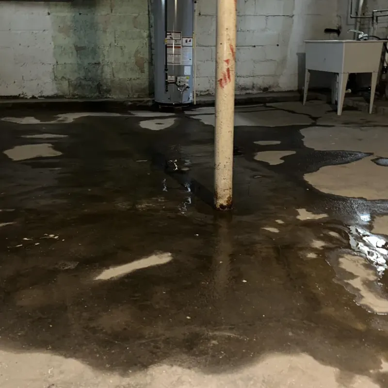 Emergency Water Extraction And Removal in Virginia, IL